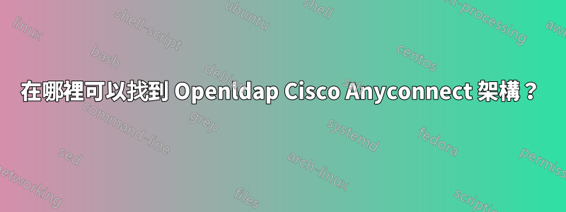 在哪裡可以找到 Openldap Cisco Anyconnect 架構？