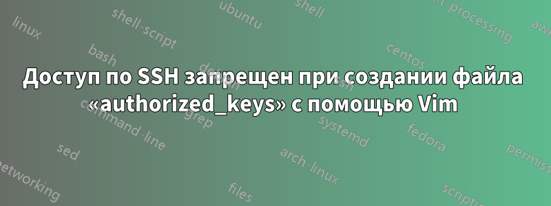 Доступ по SSH запрещен при создании файла «authorized_keys» с помощью Vim