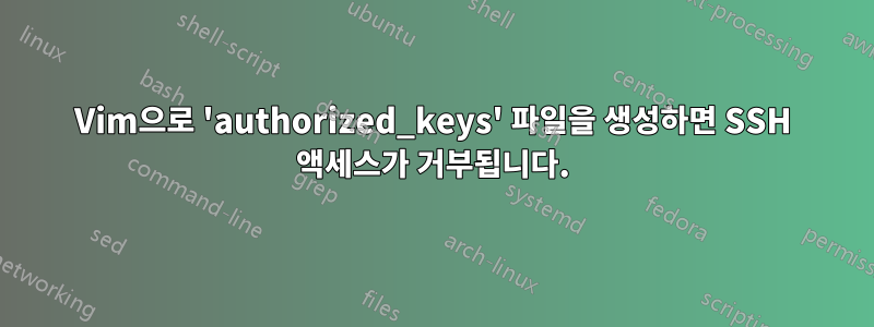 Vim으로 'authorized_keys' 파일을 생성하면 SSH 액세스가 거부됩니다.