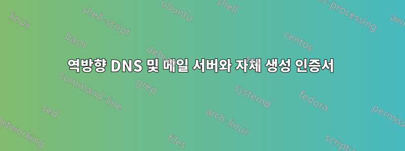 역방향 DNS 및 메일 서버와 자체 생성 인증서