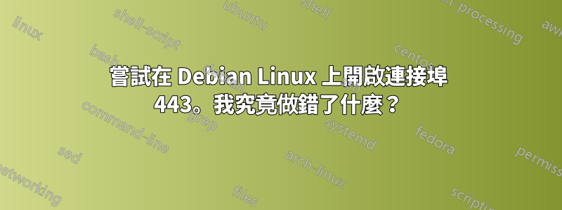 嘗試在 Debian Linux 上開啟連接埠 443。我究竟做錯了什麼？