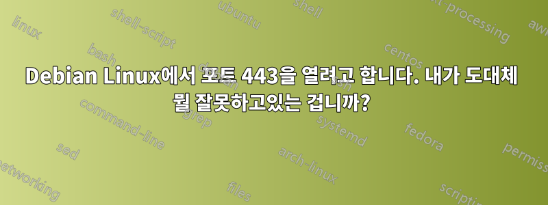 Debian Linux에서 포트 443을 열려고 합니다. 내가 도대체 ​​뭘 잘못하고있는 겁니까?