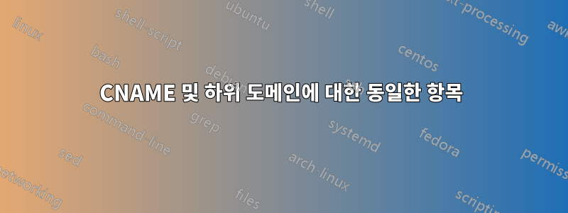 CNAME 및 하위 도메인에 대한 동일한 항목