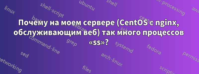 Почему на моем сервере (CentOS с nginx, обслуживающим веб) так много процессов «ss»?