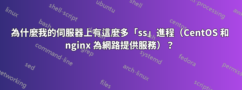 為什麼我的伺服器上有這麼多「ss」進程（CentOS 和 nginx 為網路提供服務）？