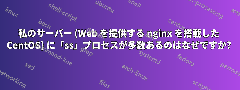 私のサーバー (Web を提供する nginx を搭載した CentOS) に「ss」プロセスが多数あるのはなぜですか?