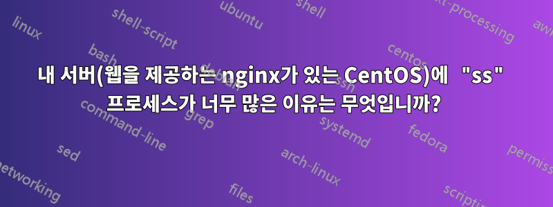 내 서버(웹을 제공하는 nginx가 있는 CentOS)에 "ss" 프로세스가 너무 많은 이유는 무엇입니까?