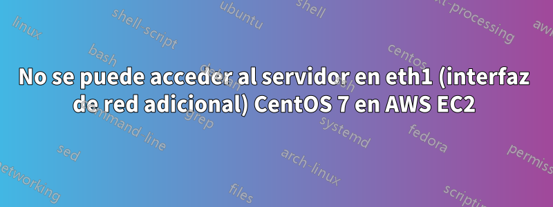 No se puede acceder al servidor en eth1 (interfaz de red adicional) CentOS 7 en AWS EC2