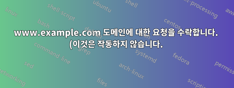 www.example.com 도메인에 대한 요청을 수락합니다. (이것은 작동하지 않습니다.)