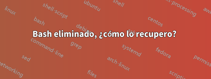 Bash eliminado, ¿cómo lo recupero?