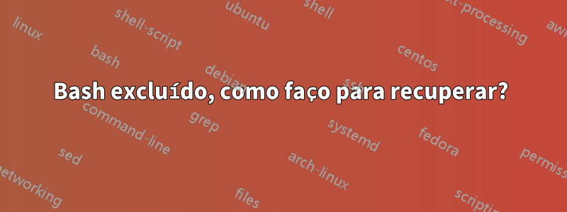 Bash excluído, como faço para recuperar?