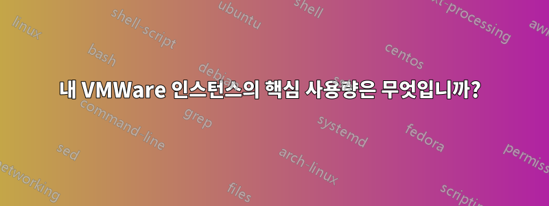 내 VMWare 인스턴스의 핵심 사용량은 무엇입니까? 