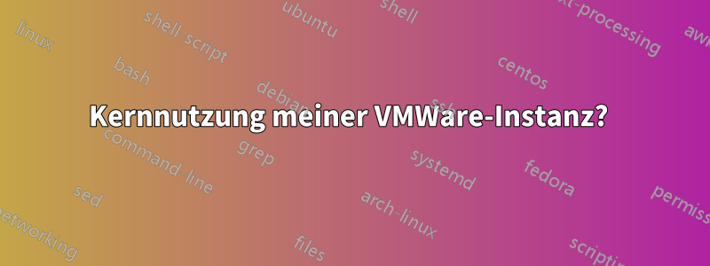 Kernnutzung meiner VMWare-Instanz? 