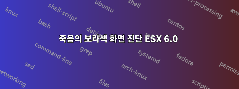 죽음의 보라색 화면 진단 ESX 6.0