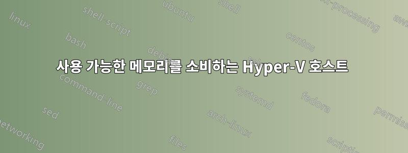 사용 가능한 메모리를 소비하는 Hyper-V 호스트