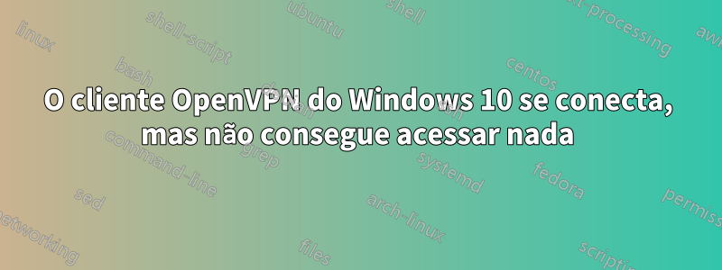 O cliente OpenVPN do Windows 10 se conecta, mas não consegue acessar nada