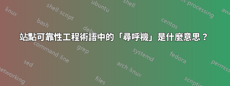 站點可靠性工程術語中的「尋呼機」是什麼意思？