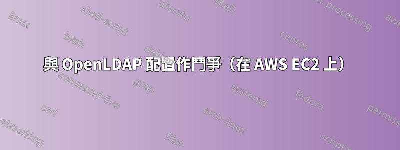 與 OpenLDAP 配置作鬥爭（在 AWS EC2 上）