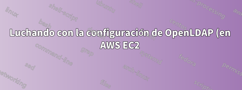 Luchando con la configuración de OpenLDAP (en AWS EC2)