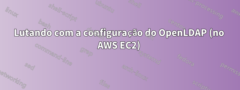 Lutando com a configuração do OpenLDAP (no AWS EC2)