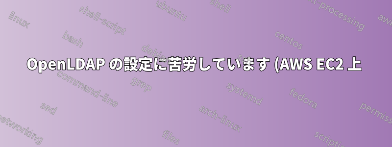 OpenLDAP の設定に苦労しています (AWS EC2 上)