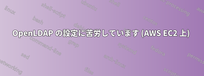 OpenLDAP の設定に苦労しています (AWS EC2 上)