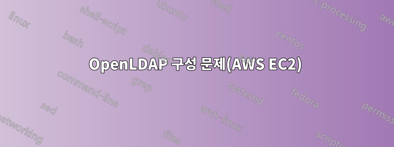 OpenLDAP 구성 문제(AWS EC2)