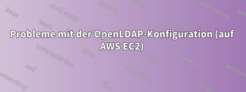 Probleme mit der OpenLDAP-Konfiguration (auf AWS EC2)