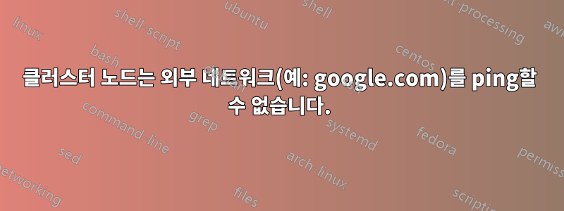 클러스터 노드는 외부 네트워크(예: google.com)를 ping할 수 없습니다.