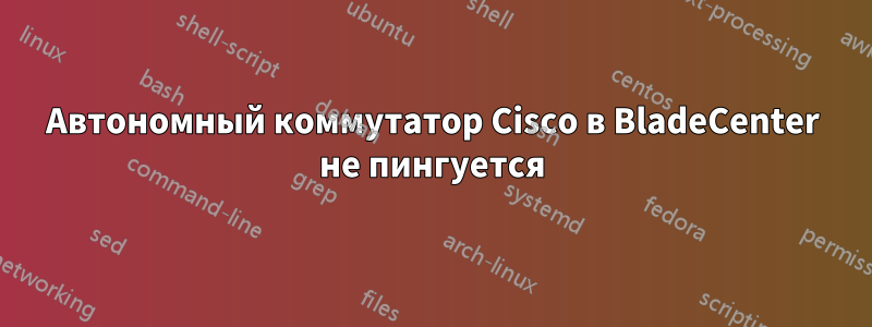 Автономный коммутатор Cisco в BladeCenter не пингуется