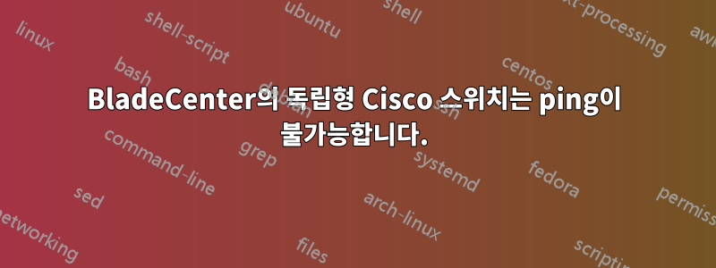 BladeCenter의 독립형 Cisco 스위치는 ping이 불가능합니다.