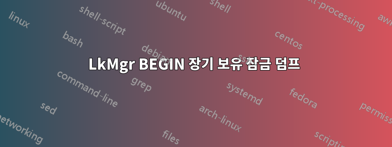 LkMgr BEGIN 장기 보유 잠금 덤프