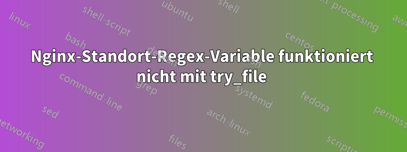 Nginx-Standort-Regex-Variable funktioniert nicht mit try_file