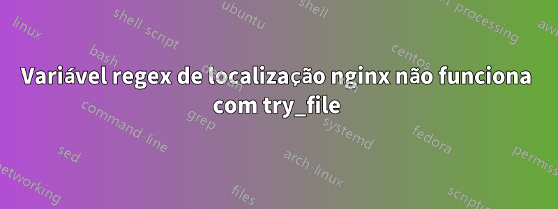 Variável regex de localização nginx não funciona com try_file