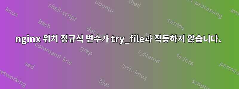 nginx 위치 정규식 변수가 try_file과 작동하지 않습니다.