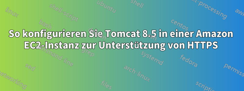 So konfigurieren Sie Tomcat 8.5 in einer Amazon EC2-Instanz zur Unterstützung von HTTPS