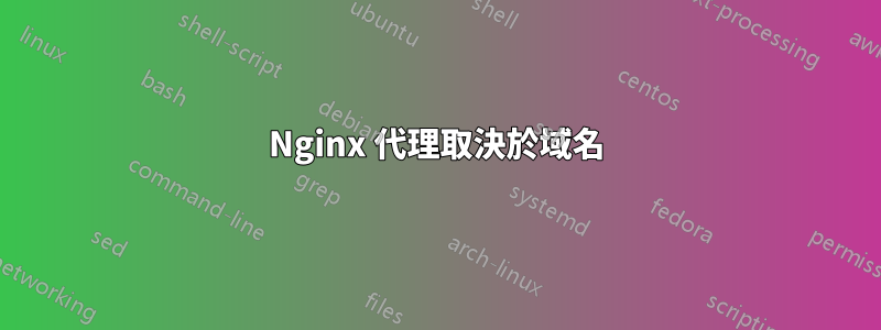 Nginx 代理取決於域名