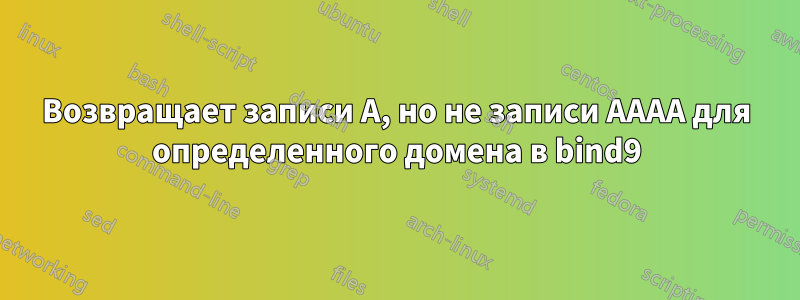 Возвращает записи A, но не записи AAAA для определенного домена в bind9