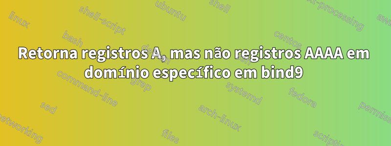 Retorna registros A, mas não registros AAAA em domínio específico em bind9