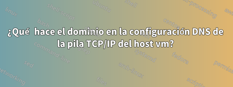 ¿Qué hace el dominio en la configuración DNS de la pila TCP/IP del host vm?