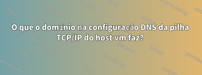 O que o domínio na configuração DNS da pilha TCP/IP do host vm faz?