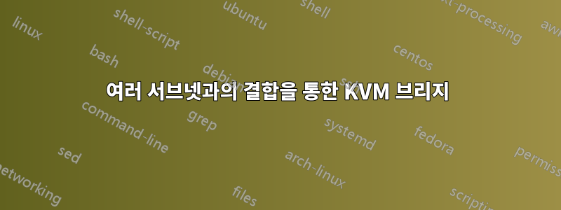 여러 서브넷과의 결합을 통한 KVM 브리지