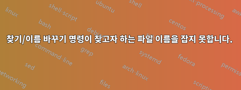 찾기/이름 바꾸기 명령이 찾고자 하는 파일 이름을 잡지 못합니다.