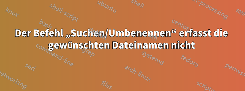 Der Befehl „Suchen/Umbenennen“ erfasst die gewünschten Dateinamen nicht