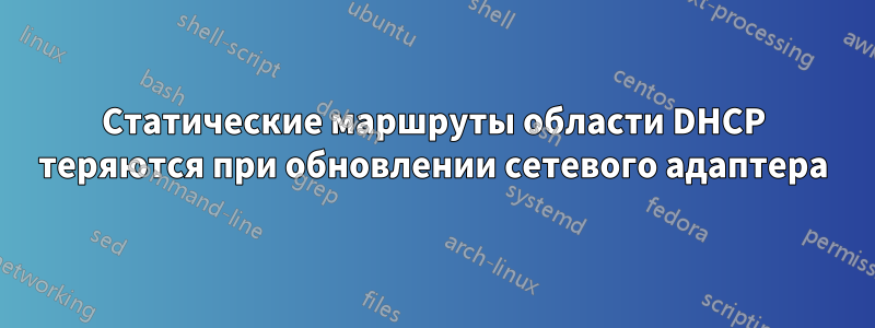 Статические маршруты области DHCP теряются при обновлении сетевого адаптера