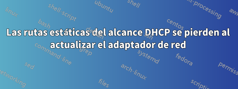 Las rutas estáticas del alcance DHCP se pierden al actualizar el adaptador de red