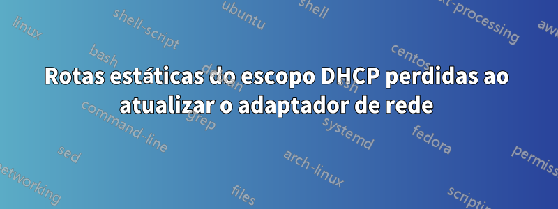 Rotas estáticas do escopo DHCP perdidas ao atualizar o adaptador de rede