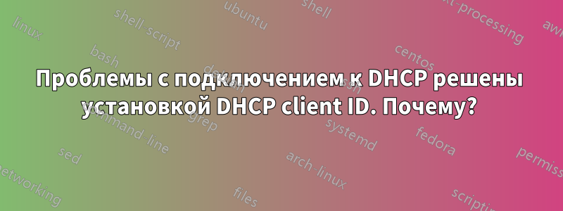 Проблемы с подключением к DHCP решены установкой DHCP client ID. Почему?