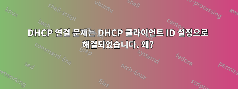 DHCP 연결 문제는 DHCP 클라이언트 ID 설정으로 해결되었습니다. 왜?