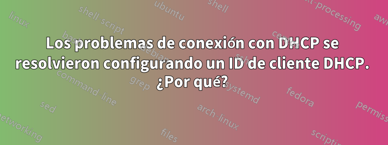 Los problemas de conexión con DHCP se resolvieron configurando un ID de cliente DHCP. ¿Por qué?